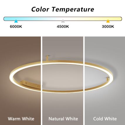 Immax NEO 07290-120G - LED+CCT Dimeriuojamas lubinis šviestuvas FINO LED/55W/230V 2700-6500K Tuya Ø 120 cm su nuotolinio valdymo pultu