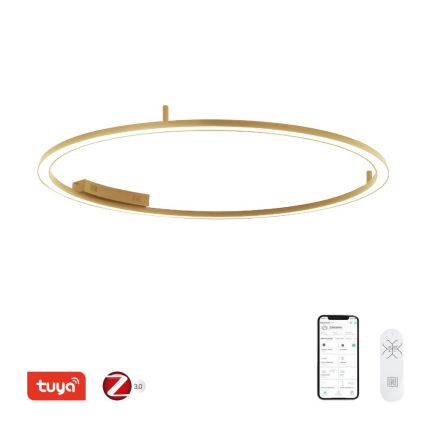 Immax NEO 07290-120G - LED+CCT Dimeriuojamas lubinis šviestuvas FINO LED/55W/230V 2700-6500K Tuya Ø 120 cm su nuotolinio valdymo pultu