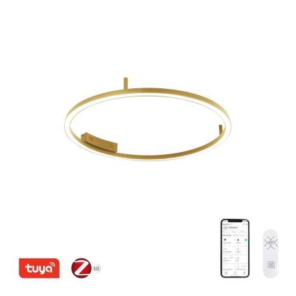 Immax NEO 07291-80G - LED+CCT dimeriuojamas lubinis šviestuvas FINO LED/55W/230V 2700-6500K Tuya skersmuo 80 cm + nuotolinis pultelis