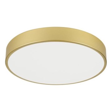 Immax NEO 07292L - LED+CCT Dimeriuojamas lubinis šviestuvas SEMPLICI LED/36W/230V 2700-6500K skersm. 40 cm + nuotolinis valdymas