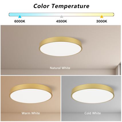 Immax NEO 07293L - LED+CCT Dimeriuojamas lubų šviestuvas SEMPLICI LED/60W/230V 2700-6500K skersmuo 60 cm + nuotolinis valdymas