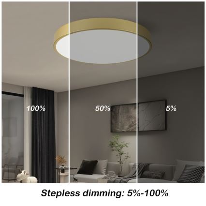 Immax NEO 07293L - LED+CCT Dimeriuojamas lubų šviestuvas SEMPLICI LED/60W/230V 2700-6500K skersmuo 60 cm + nuotolinis valdymas