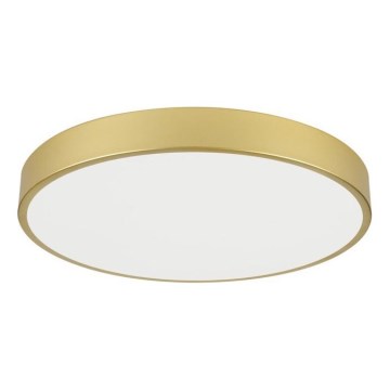 Immax NEO 07293L - LED reguliuojamo ryškumo lubų šviestuvas NEO LITE SEMPLICI LED/60W/230V 3000-6000K skersmuo 60 cm Wi-Fi Tuya auksinė + nuotolinis valdymas