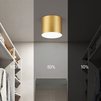 Immax NEO 07317L - reguliuojamas LED lubinis šviestuvas RONDATE LED/18W/230V, skersmuo 11,5 cm, Wi-Fi Tuya, auksinis