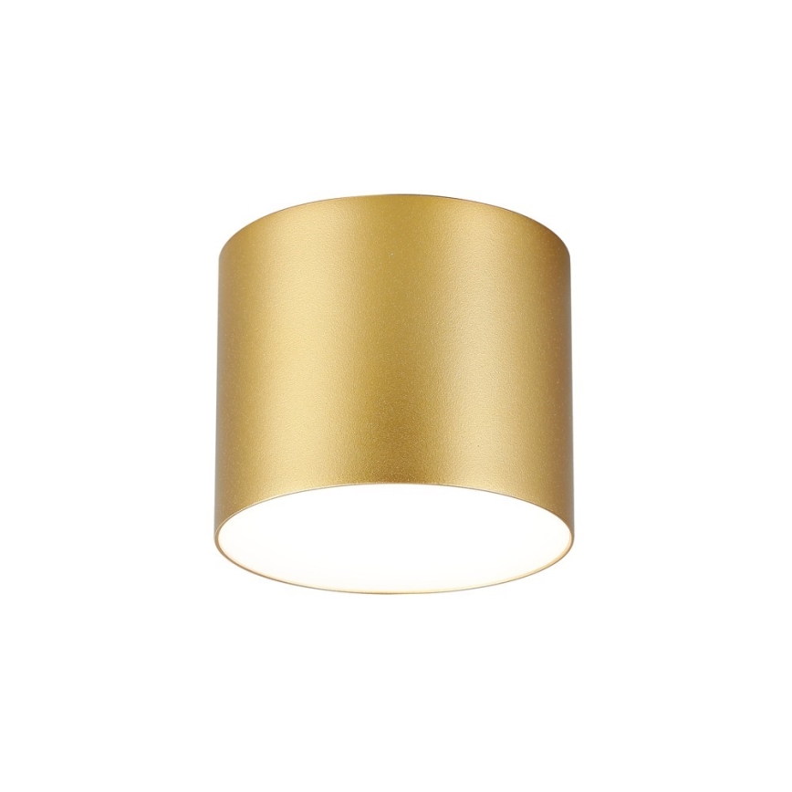 Immax NEO 07317L - reguliuojamas LED lubinis šviestuvas RONDATE LED/18W/230V, skersmuo 11,5 cm, Wi-Fi Tuya, auksinis
