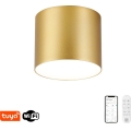 Immax NEO 07317L - reguliuojamas LED lubinis šviestuvas RONDATE LED/18W/230V, skersmuo 11,5 cm, Wi-Fi Tuya, auksinis