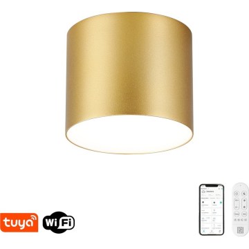 Immax NEO 07317L - reguliuojamas LED lubinis šviestuvas RONDATE LED/18W/230V, skersmuo 11,5 cm, Wi-Fi Tuya, auksinis
