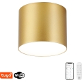 Immax NEO 07318L - dimeriuojamas LED lubų šviestuvas RONDATE LED/32W/230V Ø 16,5 cm Wi-Fi Tuya auksinis