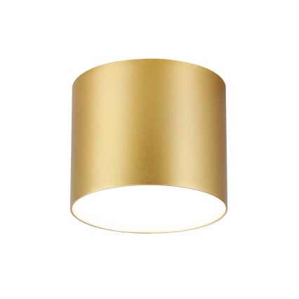 Immax NEO 07318L - dimeriuojamas LED lubinis šviestuvas RONDATE LED/32W/230V skersmuo 16,5 cm Wi-Fi Tuya aukso spalvos