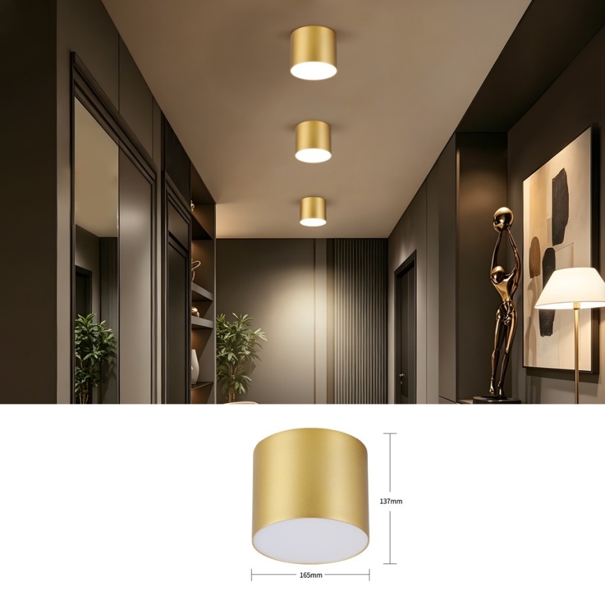 Immax NEO 07318L - dimeriuojamas LED lubinis šviestuvas RONDATE LED/32W/230V skersmuo 16,5 cm Wi-Fi Tuya aukso spalvos