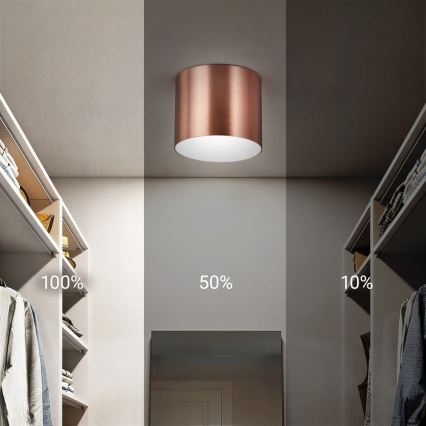 Immax NEO 07319L - RONDATE: reguliuojamas LED lubinis šviestuvas, 18 W, 230 V, skersmuo 11,5 cm, Wi‑Fi (Tuya), rožinio aukso