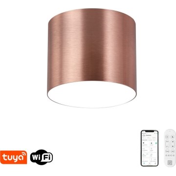 Immax NEO 07319L - RONDATE: reguliuojamas LED lubinis šviestuvas, 18 W, 230 V, skersmuo 11,5 cm, Wi‑Fi (Tuya), rožinio aukso