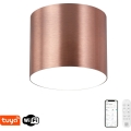 Immax NEO 07320L - dimeriuojamas LED lubinis šviestuvas RONDATE, LED/32W/230V, Ø 16,5 cm, Wi‑Fi (Tuya), rožinis auksas