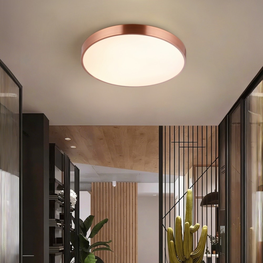 Immax NEO 07321L - LED reguliuojamas lubų šviestuvas NEO LITE SEMPLICI LED/36W/230V Ø 40 cm, vario spalvos + nuotolinis valdymas