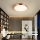 Immax NEO 07321L - LED reguliuojamas lubų šviestuvas NEO LITE SEMPLICI LED/36W/230V Ø 40 cm, vario spalvos + nuotolinis valdymas