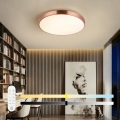 Immax NEO 07322L - reguliuojamas LED lubų šviestuvas NEO LITE SEMPLICI LED/60W/230V skersmuo 60 cm vario spalvos + nuotolinis valdymas