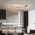 Immax NEO 07325-120C - LED dimeriuojamas lubinis šviestuvas FINO LED/72W/230V 120 cm Tuya rožinio aukso + nuotolinis valdymas