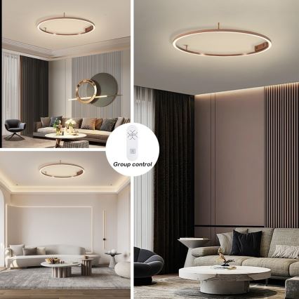 Immax NEO 07326-80C - reguliuojamas LED lubinis šviestuvas FINO LED/55W/230V, 80 cm, Tuya, rožinio aukso spalvos + su nuotoliniu pultu