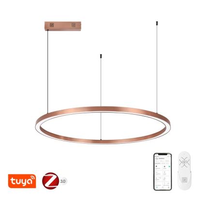 Immax NEO 07327L - pritemdomas LED pakabinamas šviestuvas ant laido FINO LED/55W/230V 80 cm rožinio aukso Tuya + nuotolinis valdymas