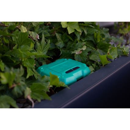 Immax NEO 07509L - Dirvožemio drėgmės ir temperatūros jutiklis NEO LITE Wi-Fi 3xAAA IP65