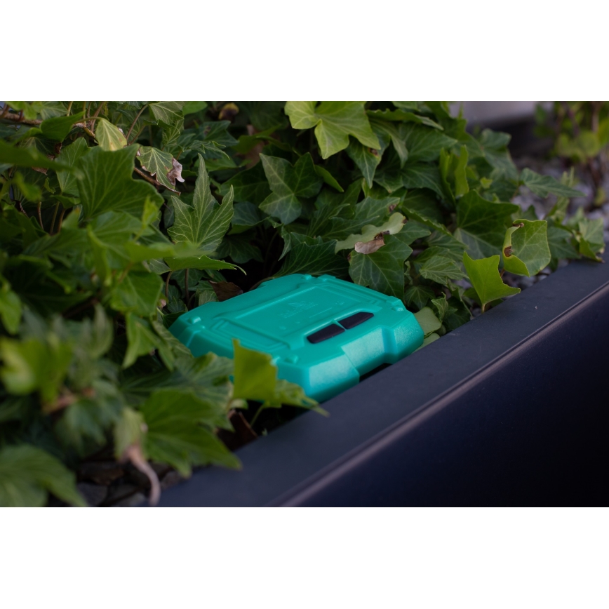 Immax NEO 07509L - Dirvožemio drėgmės ir temperatūros jutiklis NEO LITE Wi-Fi 3xAAA IP65