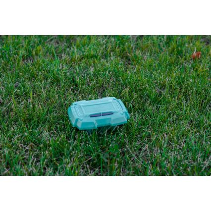 Immax NEO 07509L - Dirvožemio drėgmės ir temperatūros jutiklis NEO LITE Wi-Fi 3xAAA IP65