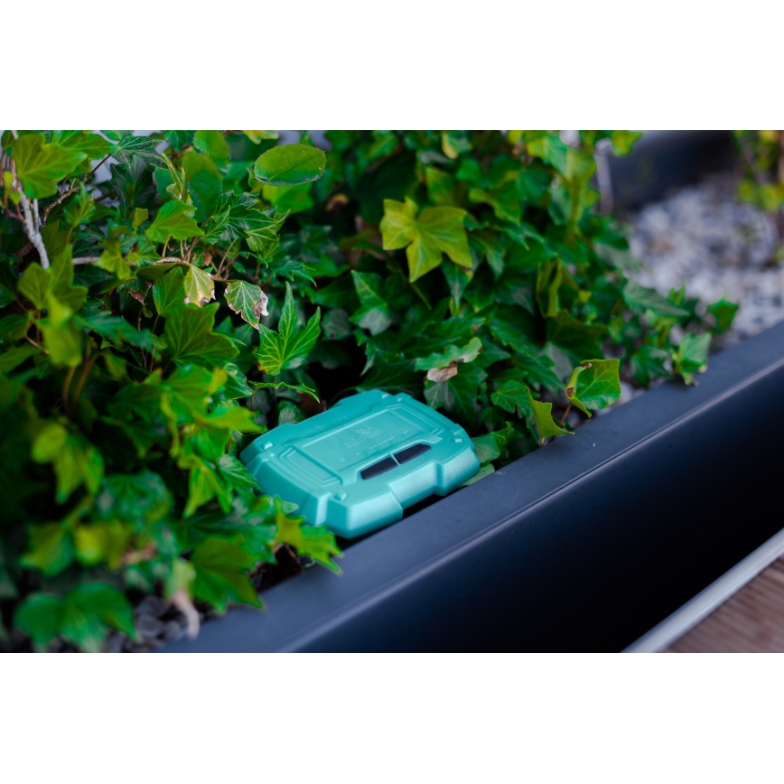 Immax NEO 07509L - Dirvožemio drėgmės ir temperatūros jutiklis NEO LITE Wi-Fi 3xAAA IP65