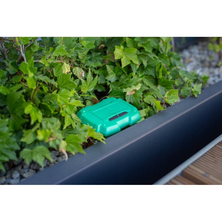 Immax NEO 07509L - Dirvožemio drėgmės ir temperatūros jutiklis NEO LITE Wi-Fi 3xAAA IP65