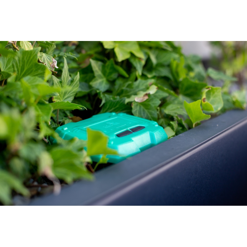 Immax NEO 07509L - Dirvožemio drėgmės ir temperatūros jutiklis NEO LITE Wi-Fi 3xAAA IP65