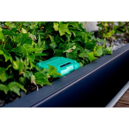 Immax NEO 07509L - Dirvožemio drėgmės ir temperatūros jutiklis NEO LITE Wi-Fi 3xAAA IP65