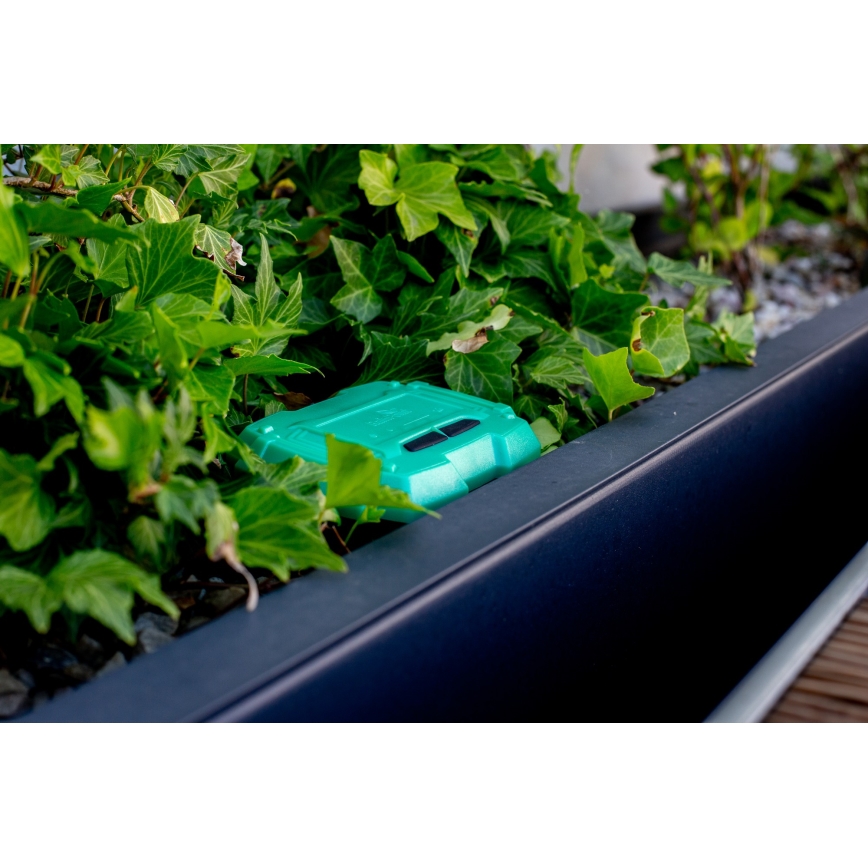 Immax NEO 07509L - Dirvožemio drėgmės ir temperatūros jutiklis NEO LITE Wi-Fi 3xAAA IP65