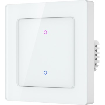Immax NEO 07550L - Išmanusis 2 mygtukų jungiklis 230 V