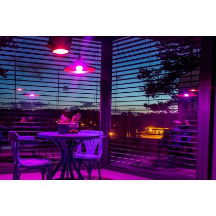 Immax NEO 07745CDO - Komplektas 3 vnt. LED RGB+CCT reguliuojamų lempučių E14/6W/230V Wi-Fi + nuotolinis valdymas