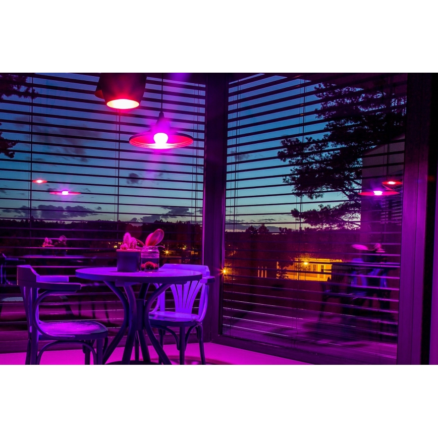 Immax NEO 07745CDO - Komplektas 3 vnt. LED RGB+CCT reguliuojamų lempučių E14/6W/230V Wi-Fi + nuotolinis valdymas
