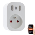 Immax NEO 07772L - Išmanioji maitinimo juosta 16A/230V su 2×USB ir 1×USB‑C, Wi‑Fi (Tuya)
