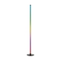 Immax NEO 07776L - LED RGB reguliuojama grindinė lempa AMBIENTE LED/12W/230V Wi-Fi Tuya + nuotolinis valdymas