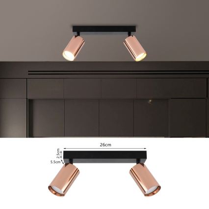 Immax NEO 08302L - Taškinis šviestuvas PUNTO 2xGU10/9W/230V rožinio aukso