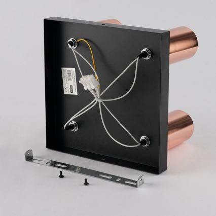 Immax NEO 08304L - Taškinis šviestuvas PUNTO 4xGU10/9W/230V rožinio aukso