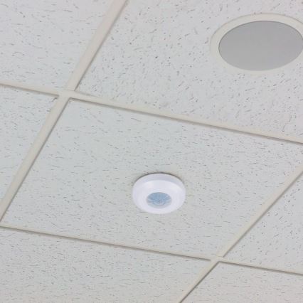 Infraraudonųjų spindulių judesio jutiklis 360° 200W/230V balta