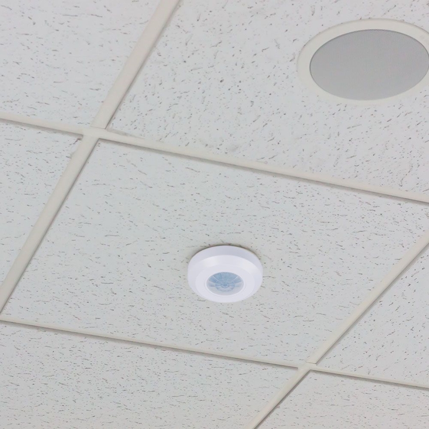 Infraraudonųjų spindulių judesio jutiklis 360° 200W/230V balta