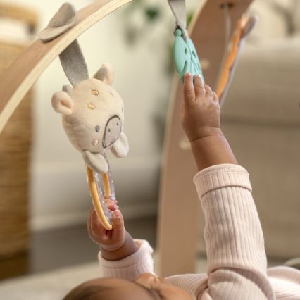 Ingenuity - Vaikiškas žaidimų kilimėlis ELEPHANT MARCH