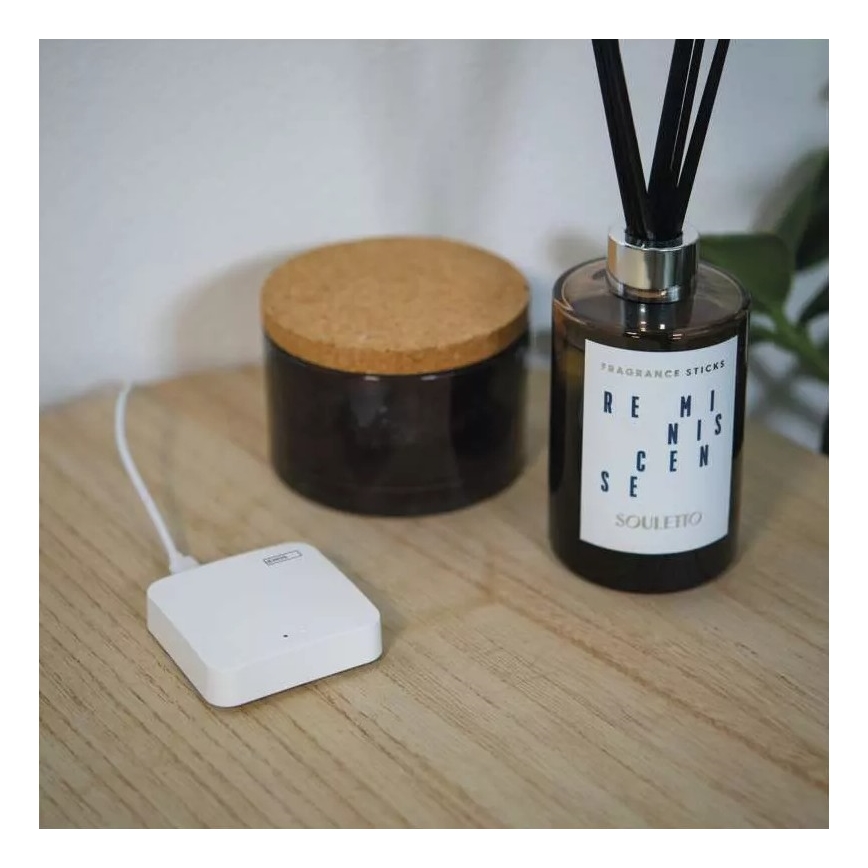Išmanus jungtuvas GoSmart ZigBee 3.0 5V Wi-Fi
