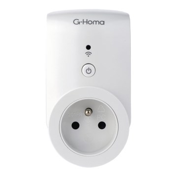 Išmanusis lizdas 3680W/TYPE/230V Wifi + laikmatis