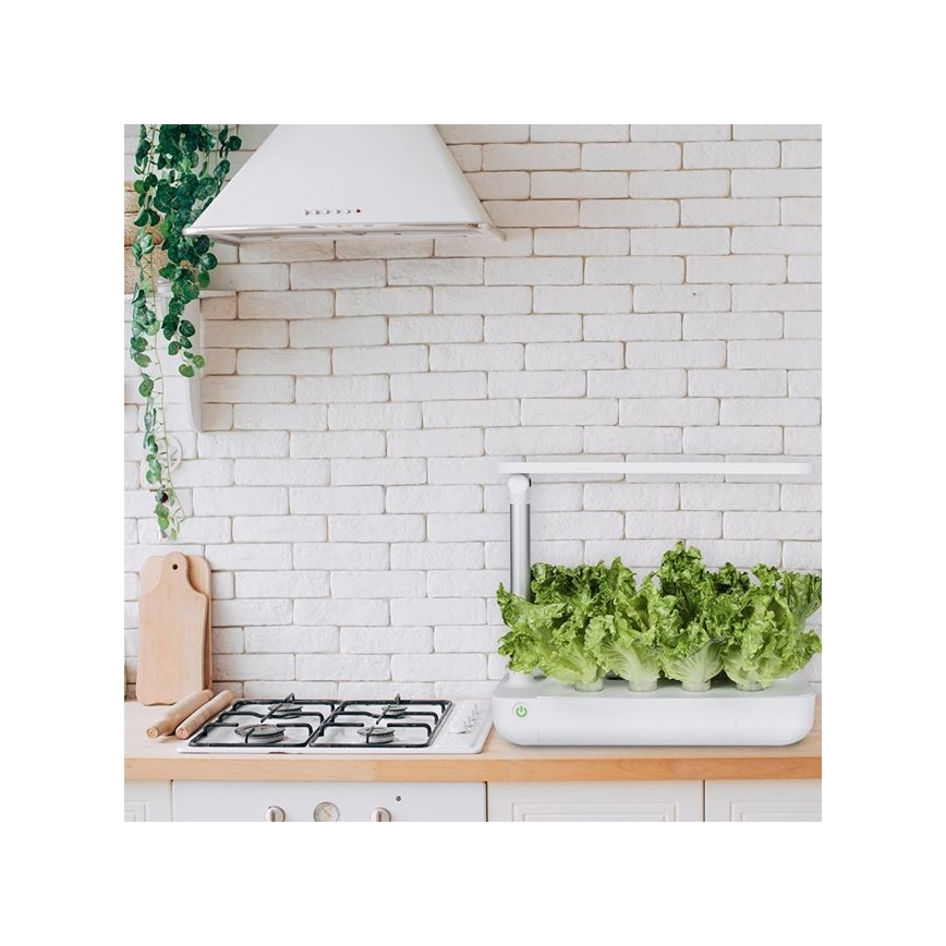 Išmanusis sodas VEGEBOX SMART GARDEN 9 LED/21W/230V