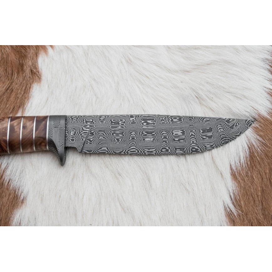 Išskirtinis Damasko peilis 14,4 cm kaštonas/mamuto dantis