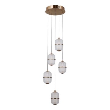ITALUX - LED kabantis šviestuvas ant laido ALANI 5xLED/5,6W/230V 3000K auksinis