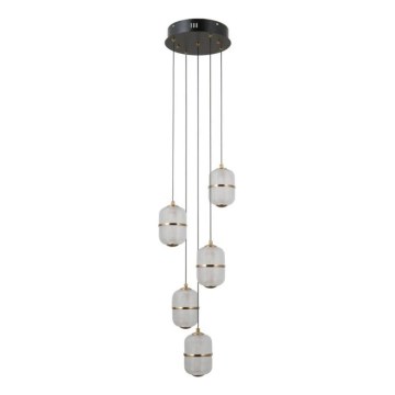 ITALUX - LED liustra ant laido ALANI 5xLED/5,6W/230V 3000K juoda/auksinė
