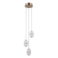 ITALUX - LED pakabinamas šviestuvas ant laido ALANI 3xLED/5W/230V 3000K auksinis