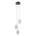 ITALUX - LED pakabinamas šviestuvas ant laido ALANI 3xLED/5W/230V 3000K juodas/auksinis
