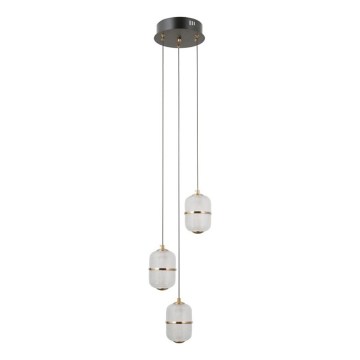 ITALUX - LED pakabinamas šviestuvas ant laido ALANI 3xLED/5W/230V 3000K juodas/auksinis